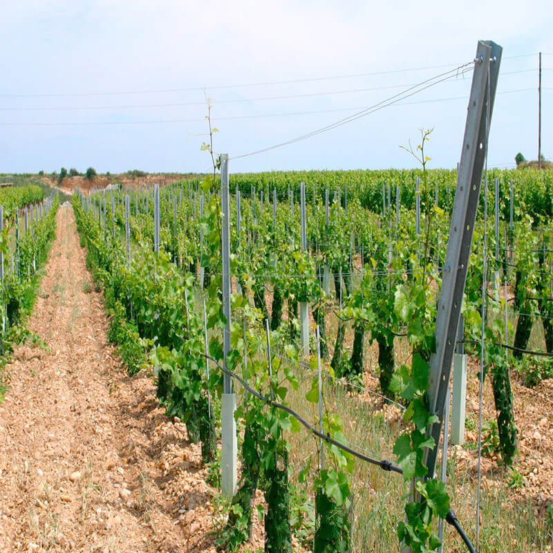 Metal Vineyard Posts