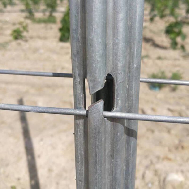 Hot-dip galvanized vineyard trellis post stakes set