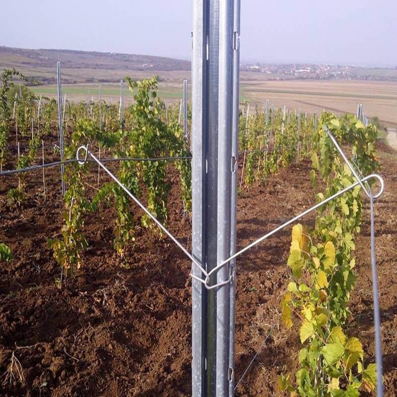 Galvanized vineyard post with punched wire slots closeup